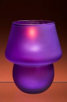 Shanghai Purple Liquid Wax Shade